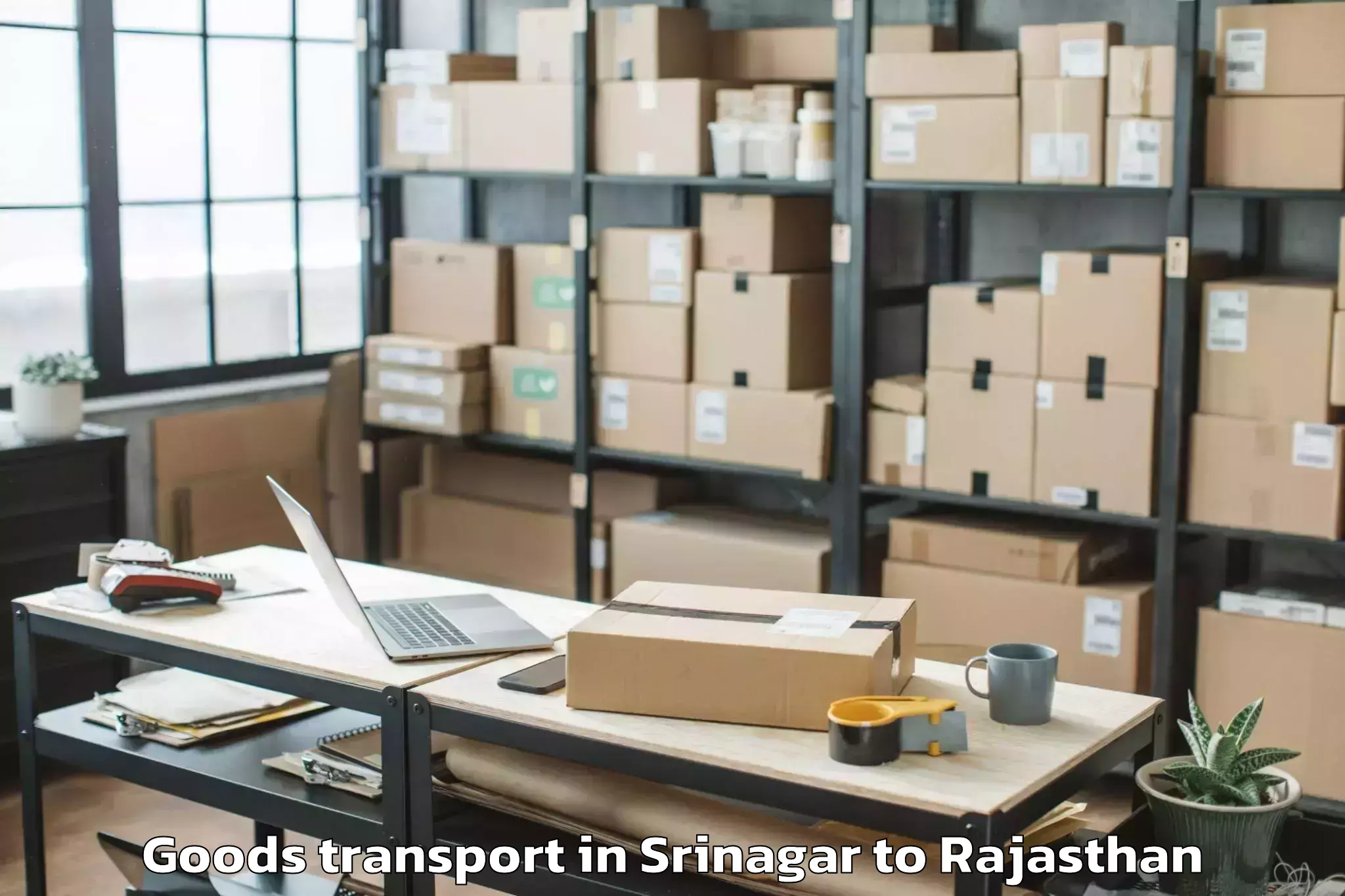 Efficient Srinagar to Nathdwara Goods Transport